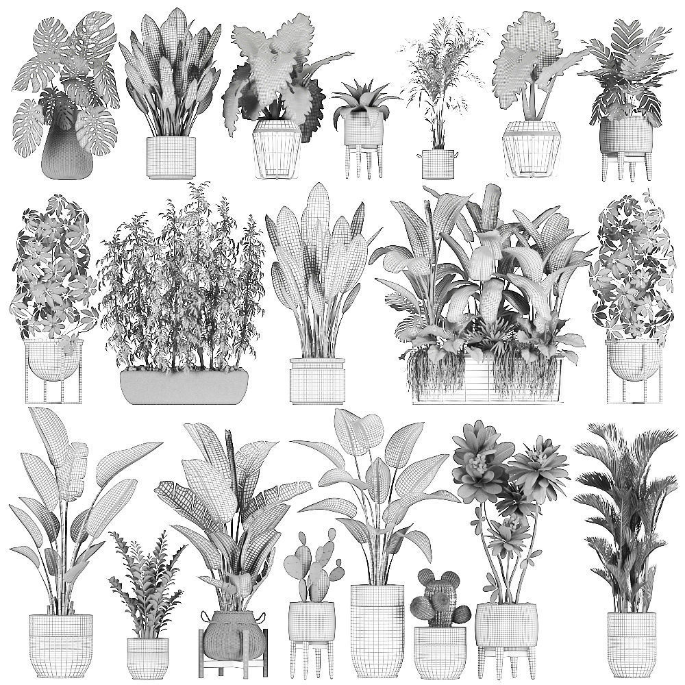 Collection of plants of 20 pieces SET 3 3D model_9