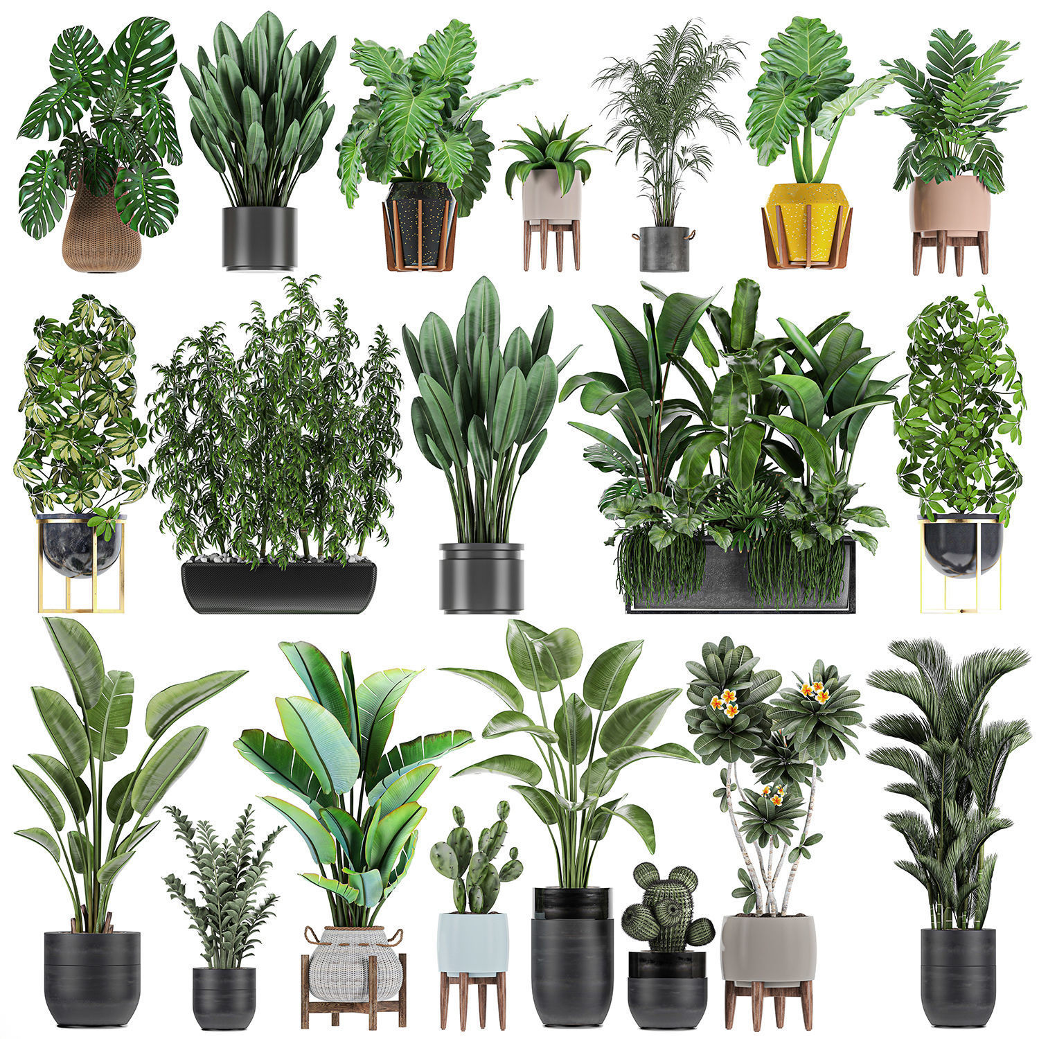 Collection of plants of 20 pieces SET 3 3D model_1