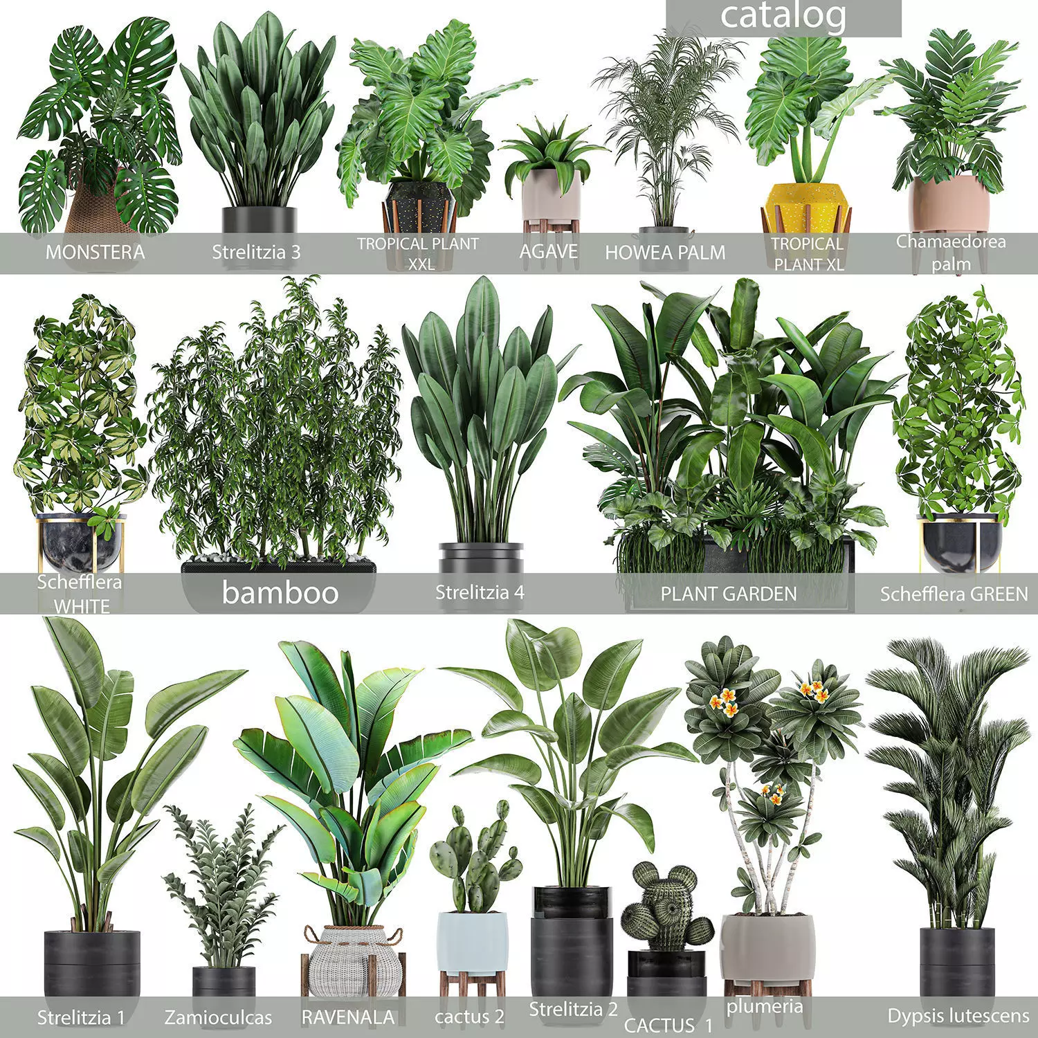 Collection of plants of 20 pieces SET 3 3D model_0