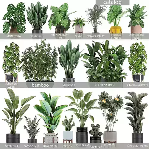 Collection of plants of 20 pieces SET 3 3D model