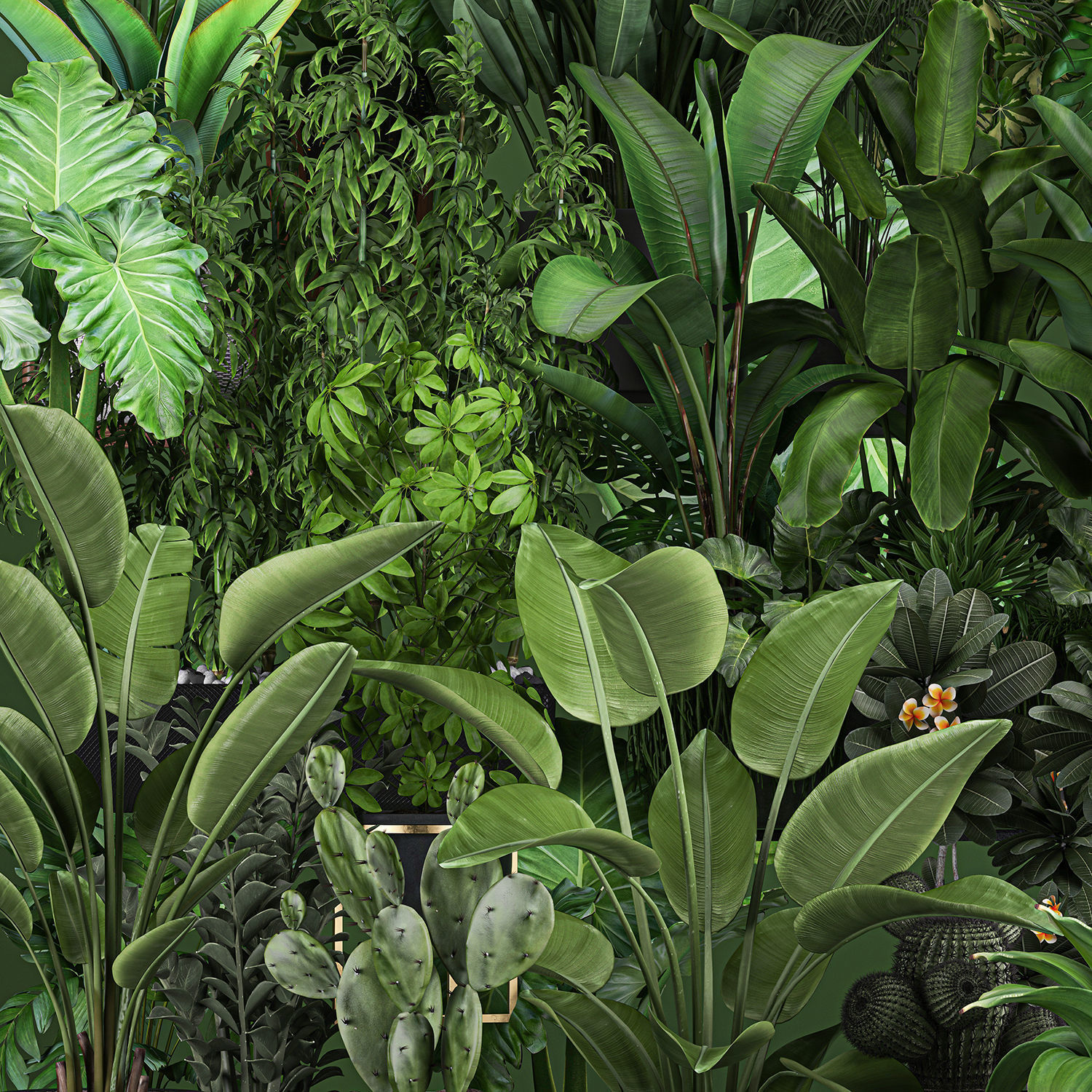 Collection of plants of 20 pieces SET 3 3D model_7