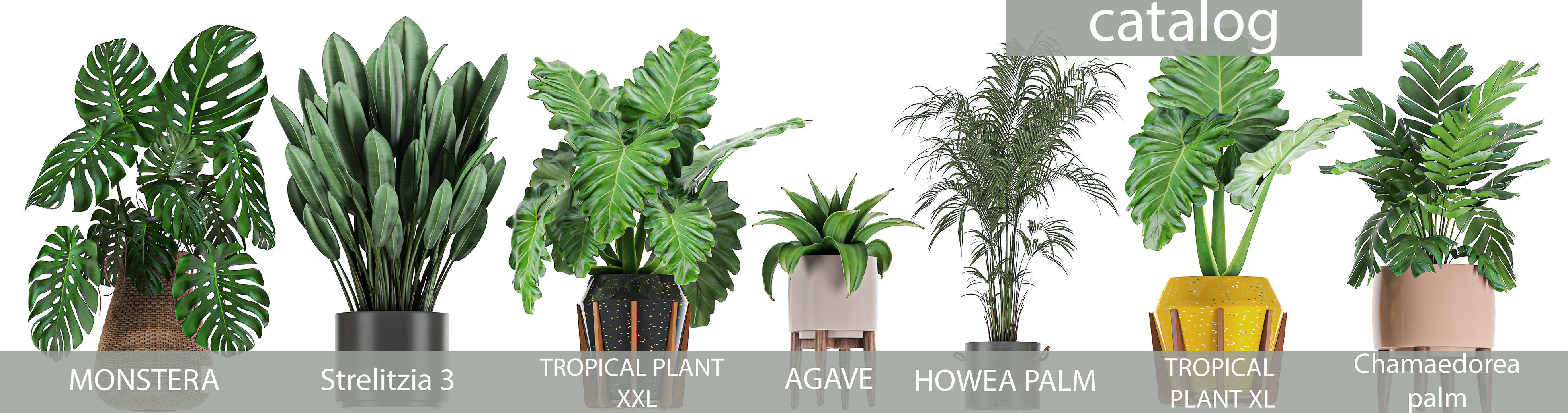 Collection of plants of 20 pieces SET 3 3D model_3