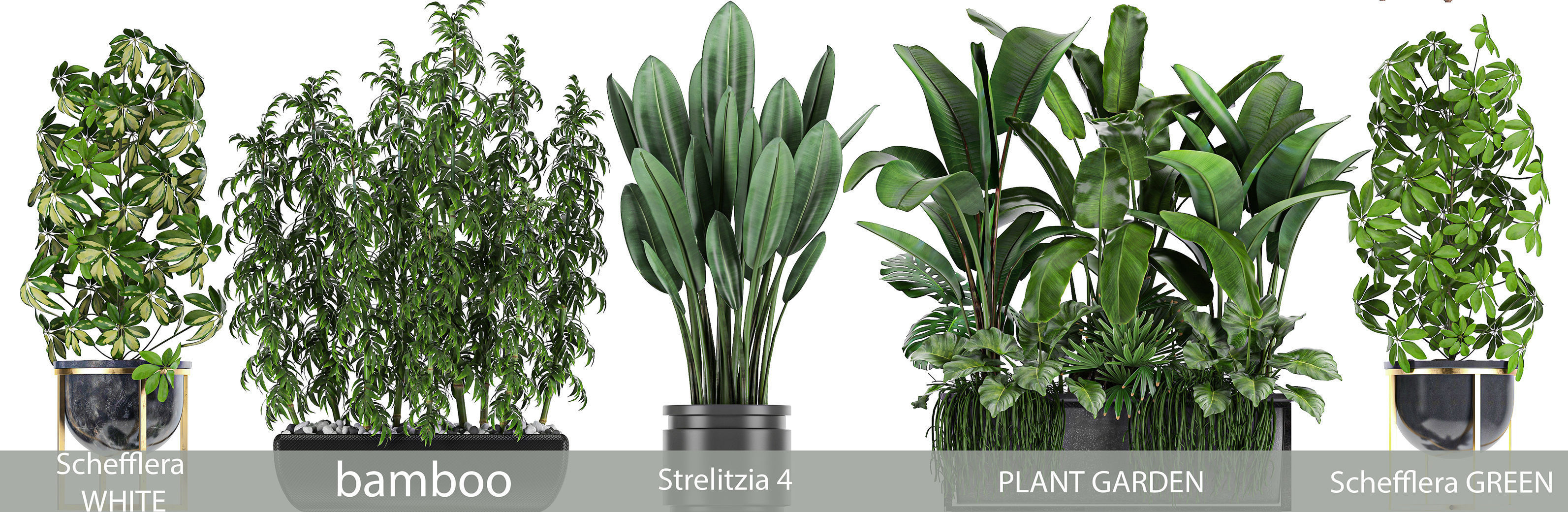 Collection of plants of 20 pieces SET 3 3D model_2