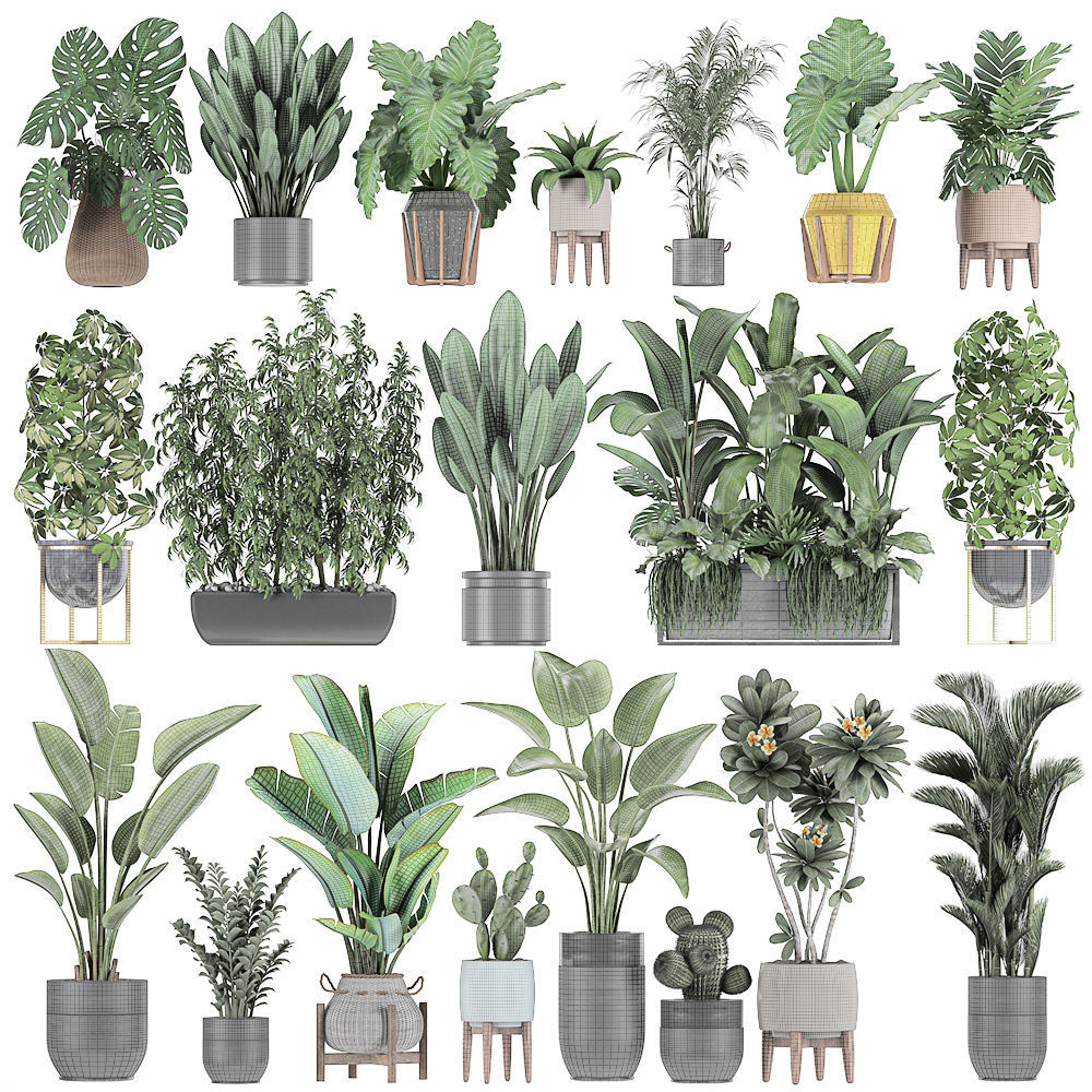 Collection of plants of 20 pieces SET 3 3D model_8
