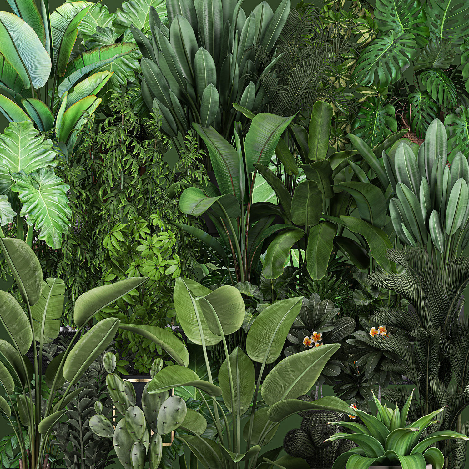 Collection of plants of 20 pieces SET 3 3D model_10