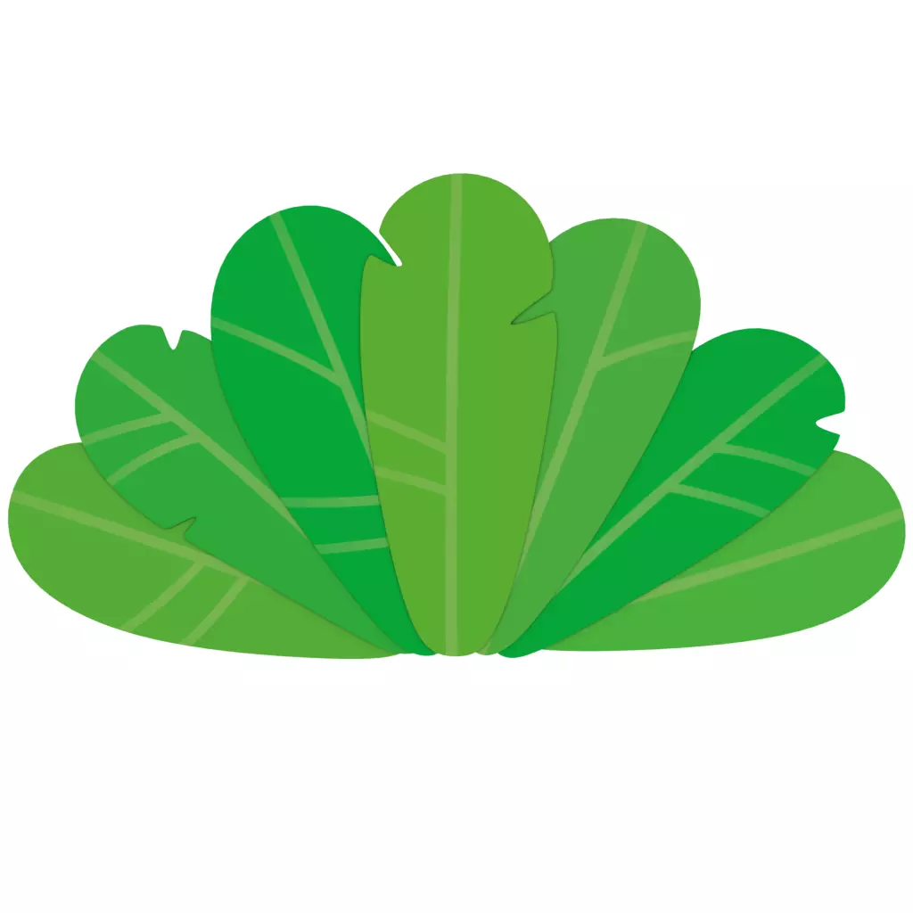 Tropical leafs 3D model_0