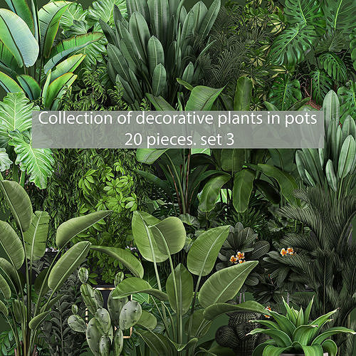 Collection of plants of 20 pieces SET 3 NEW 3D model