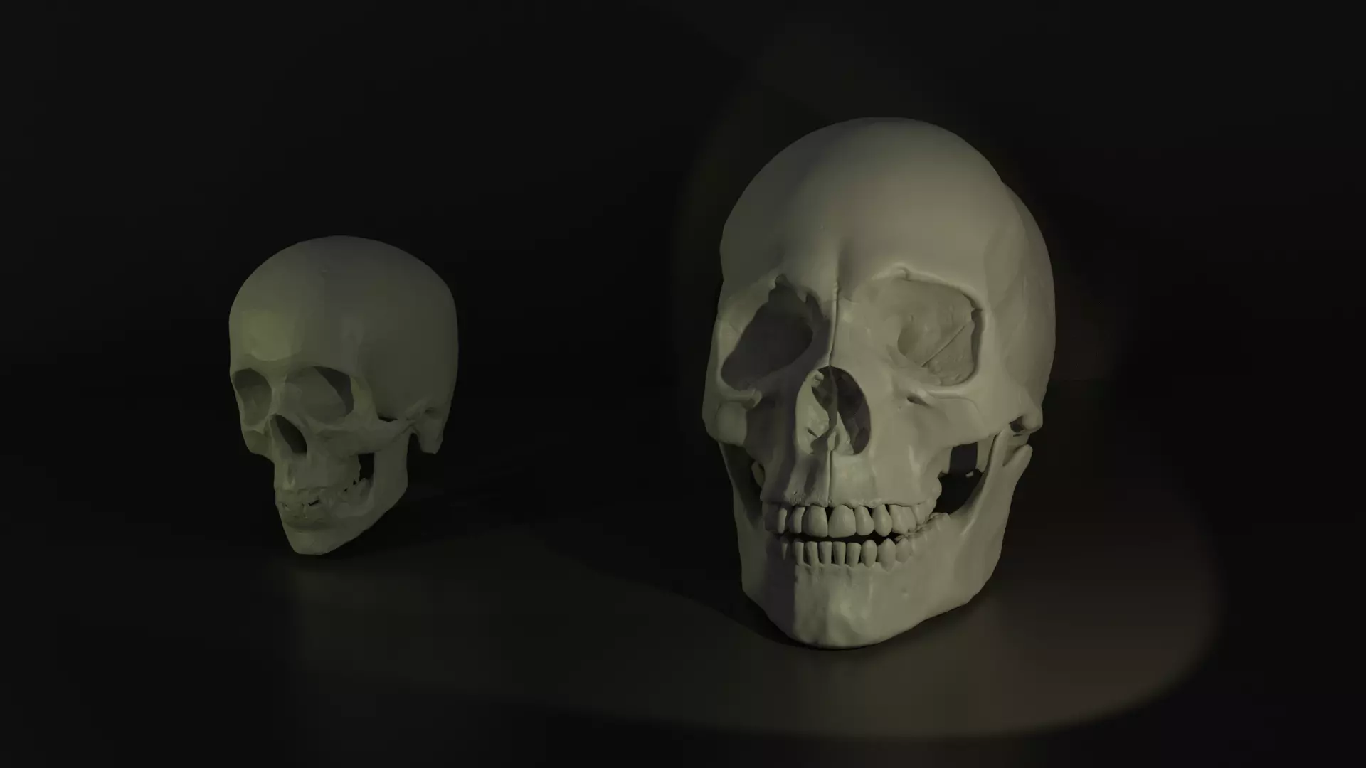 Skulls two human 3D model_0
