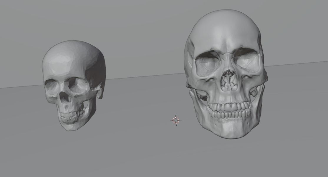 Skulls two human 3D model_1