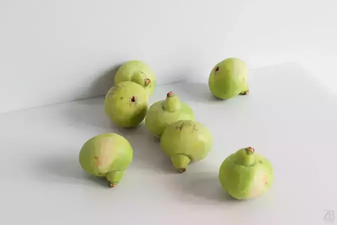 Fig   3D model
