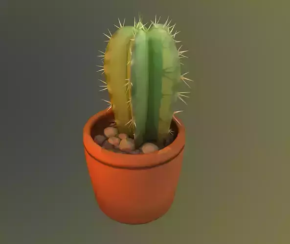 Cactus in a pot