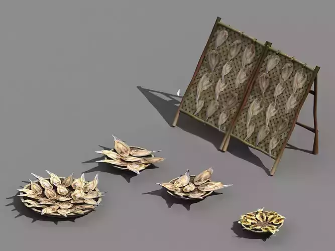 Aolai Country-Fishing-Fish-Net 02