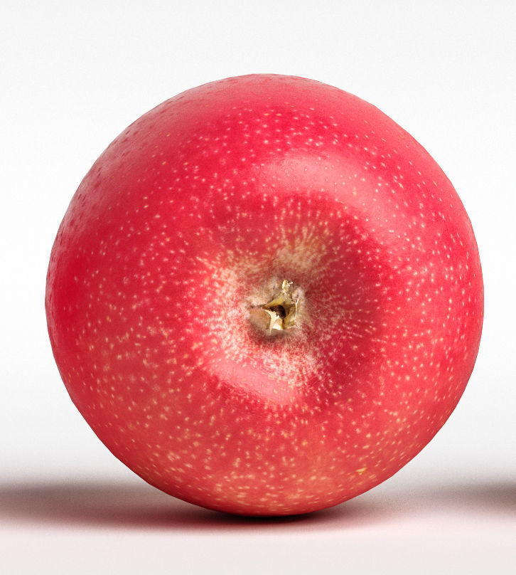 Apple 3D model_7