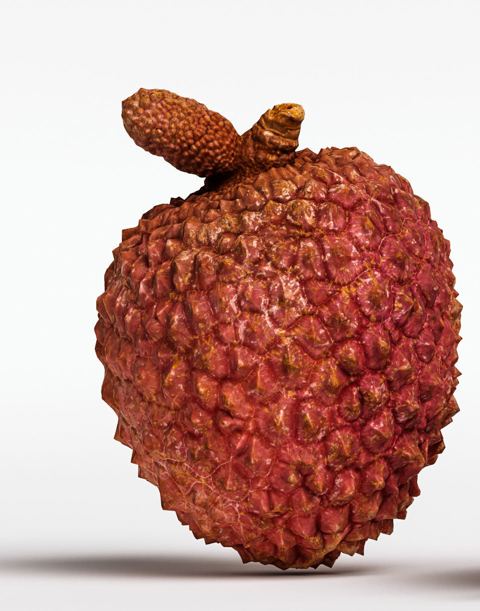 Litchi 3D model_6