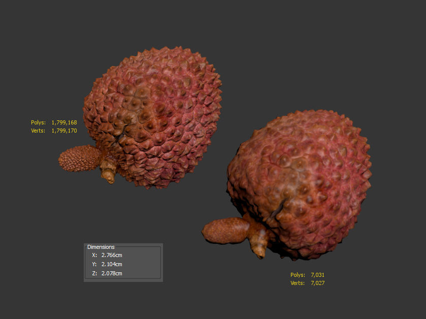 Litchi 3D model_11