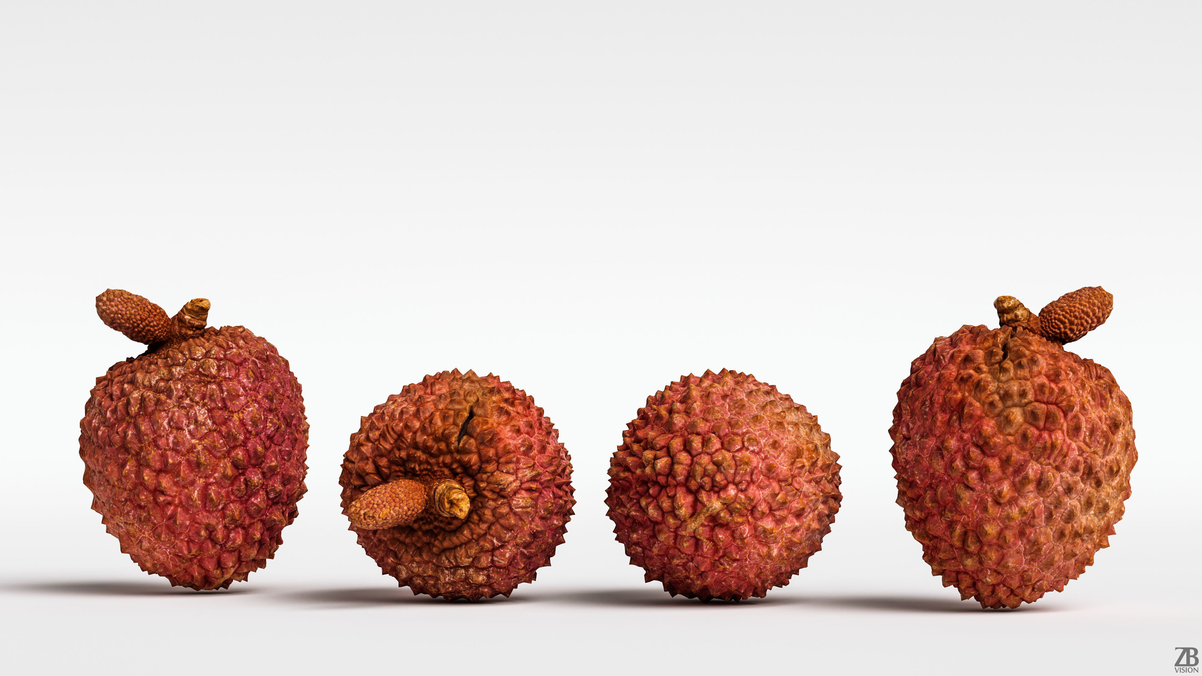 Litchi 3D model_5