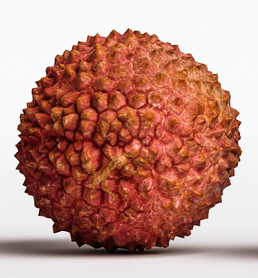 Litchi 3D model_8