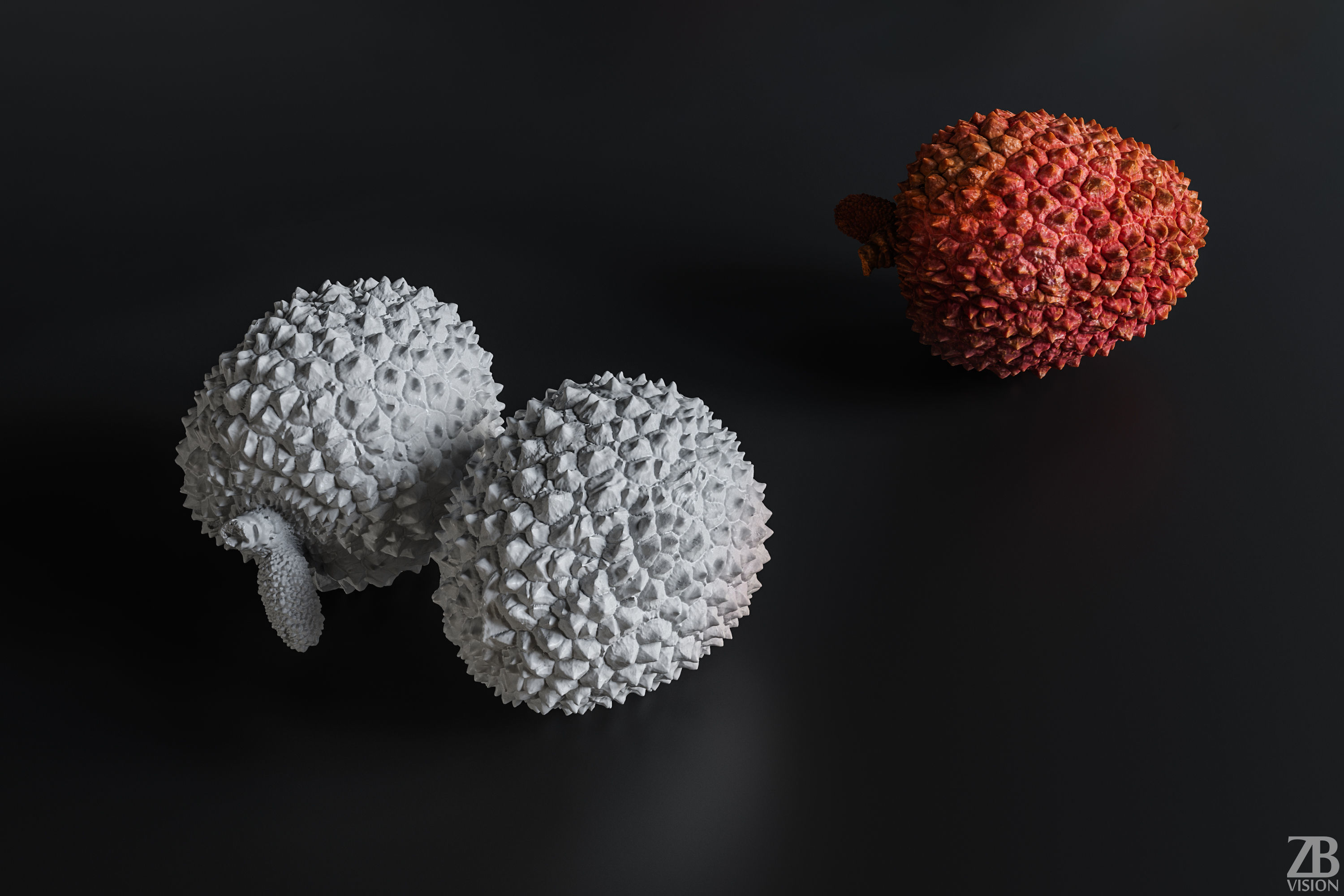 Litchi 3D model_2
