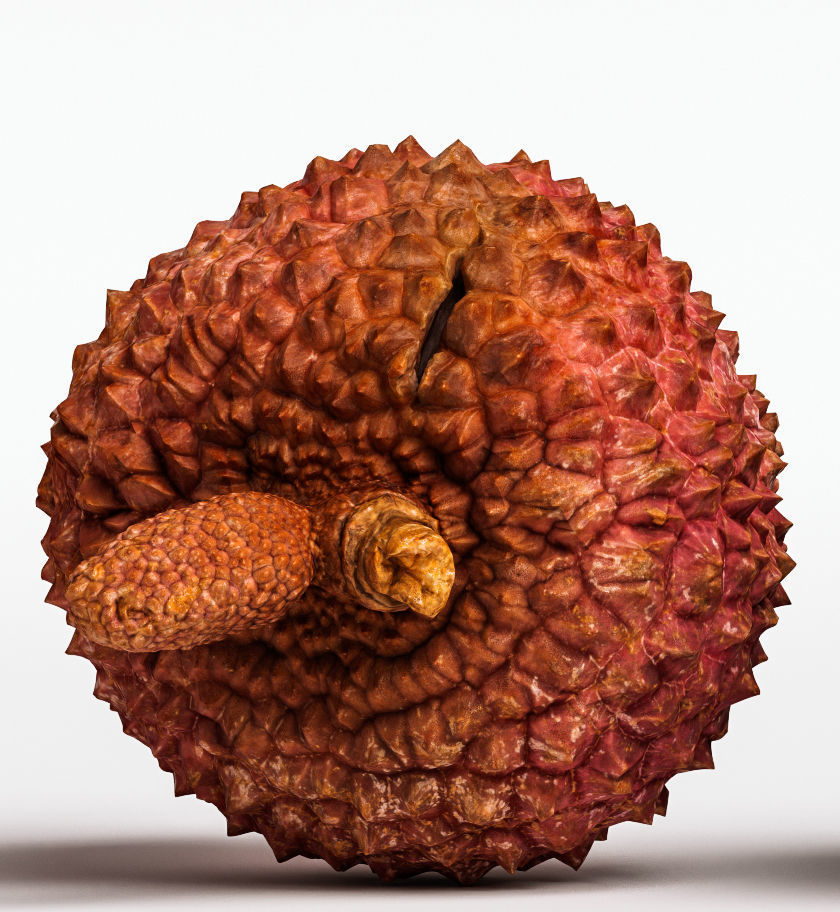 Litchi 3D model_7