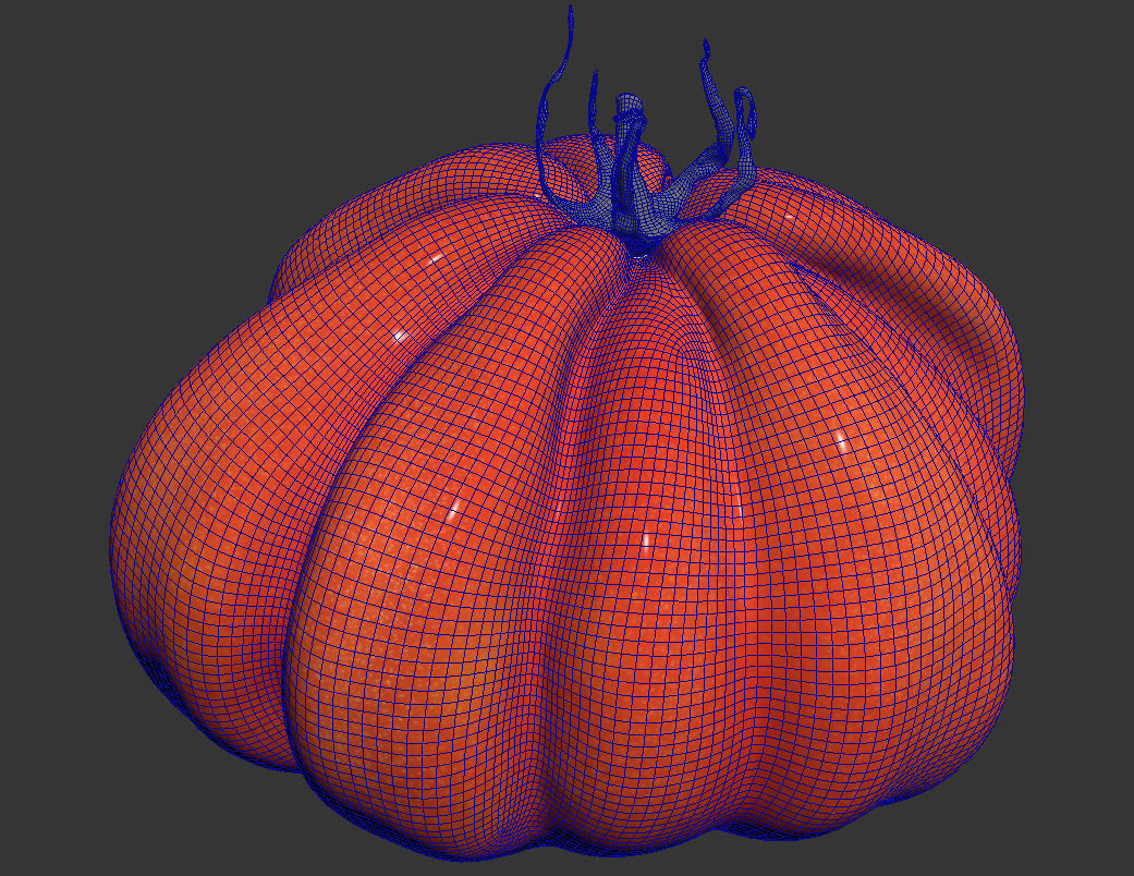 Tomato 3D model_7