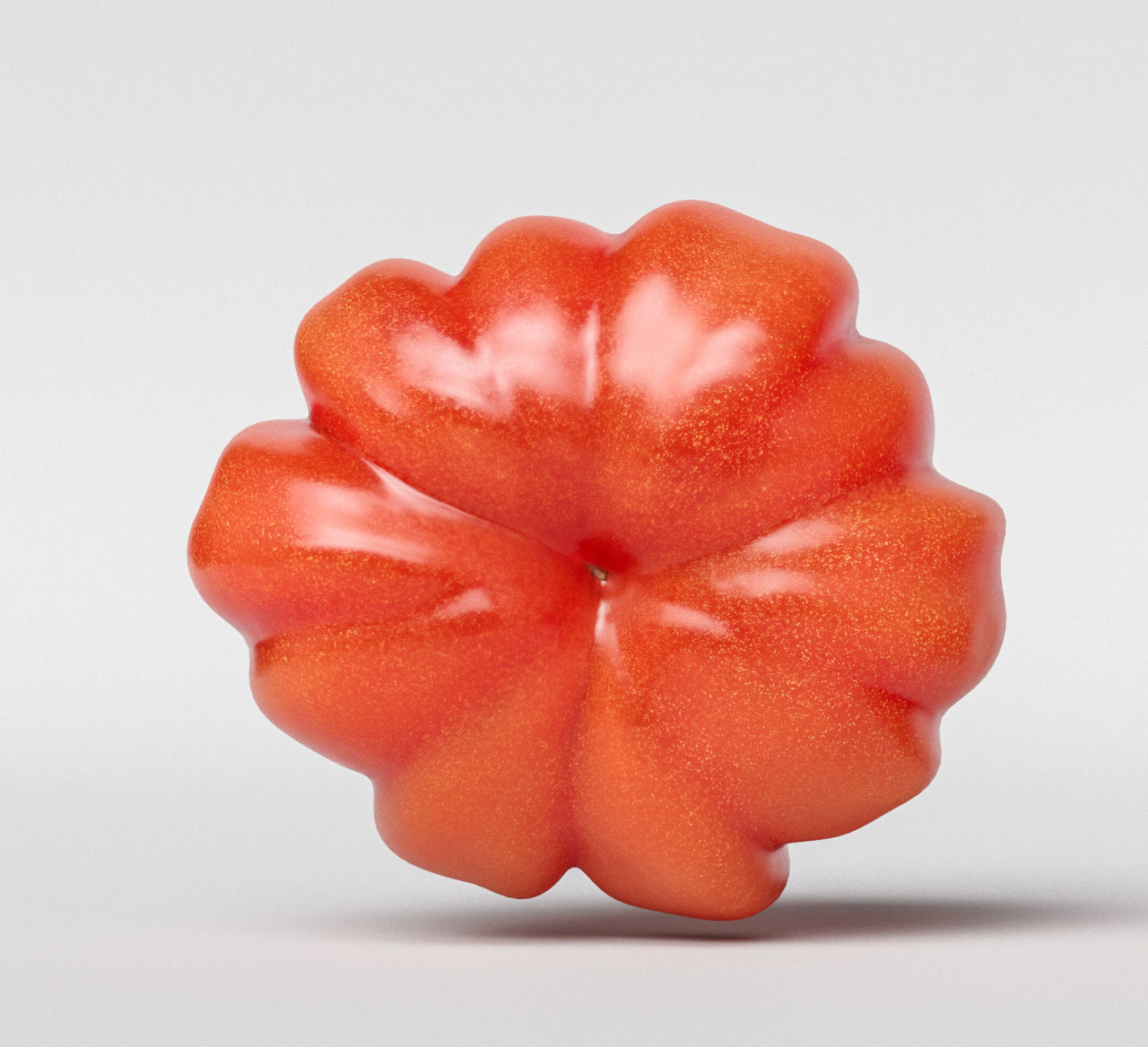 Tomato 3D model_4