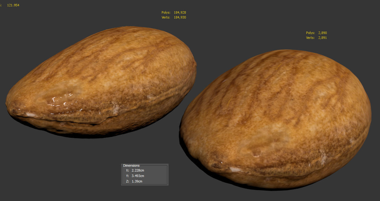 Almond 3D model_9