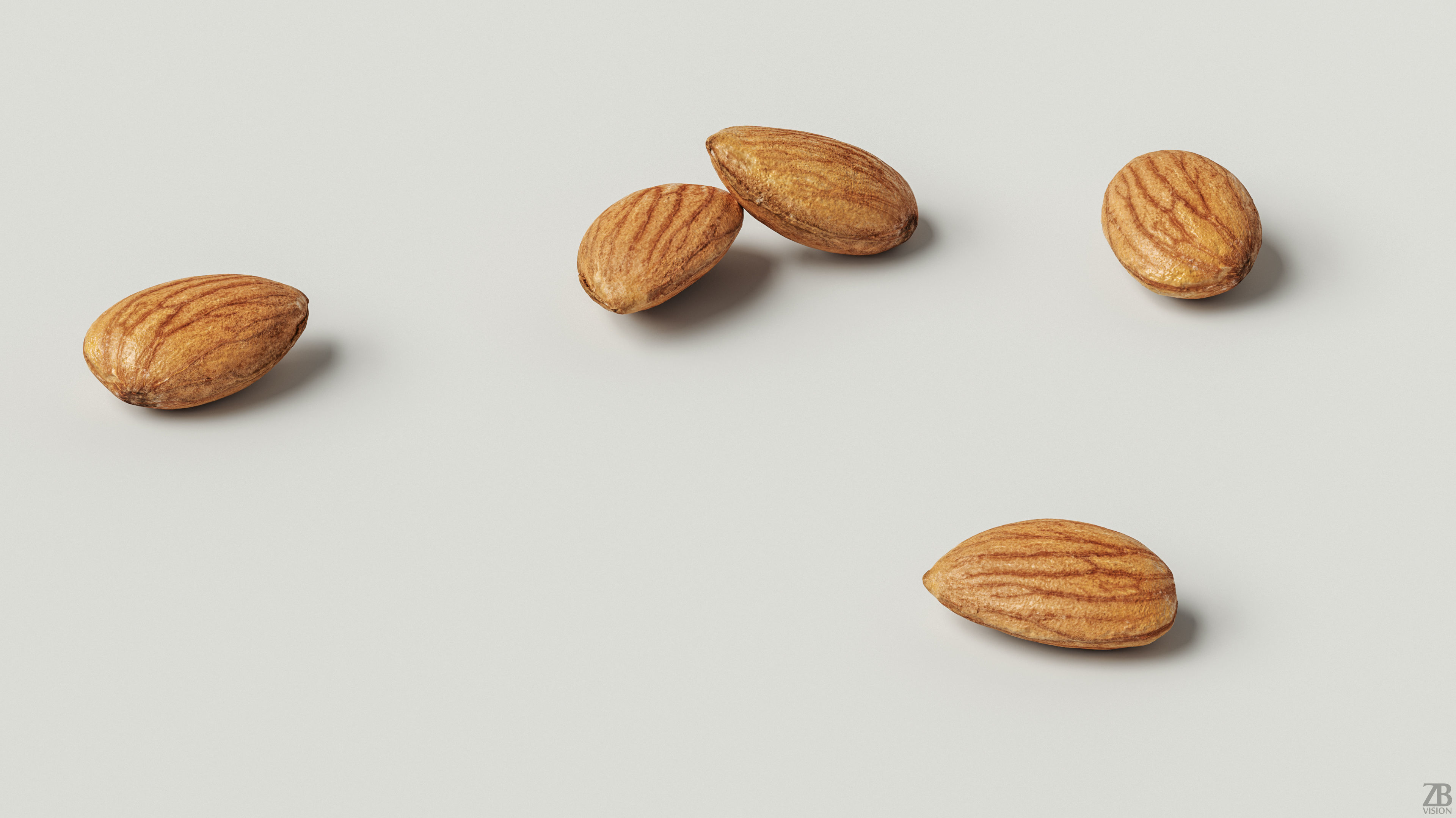 Almond 3D model_1