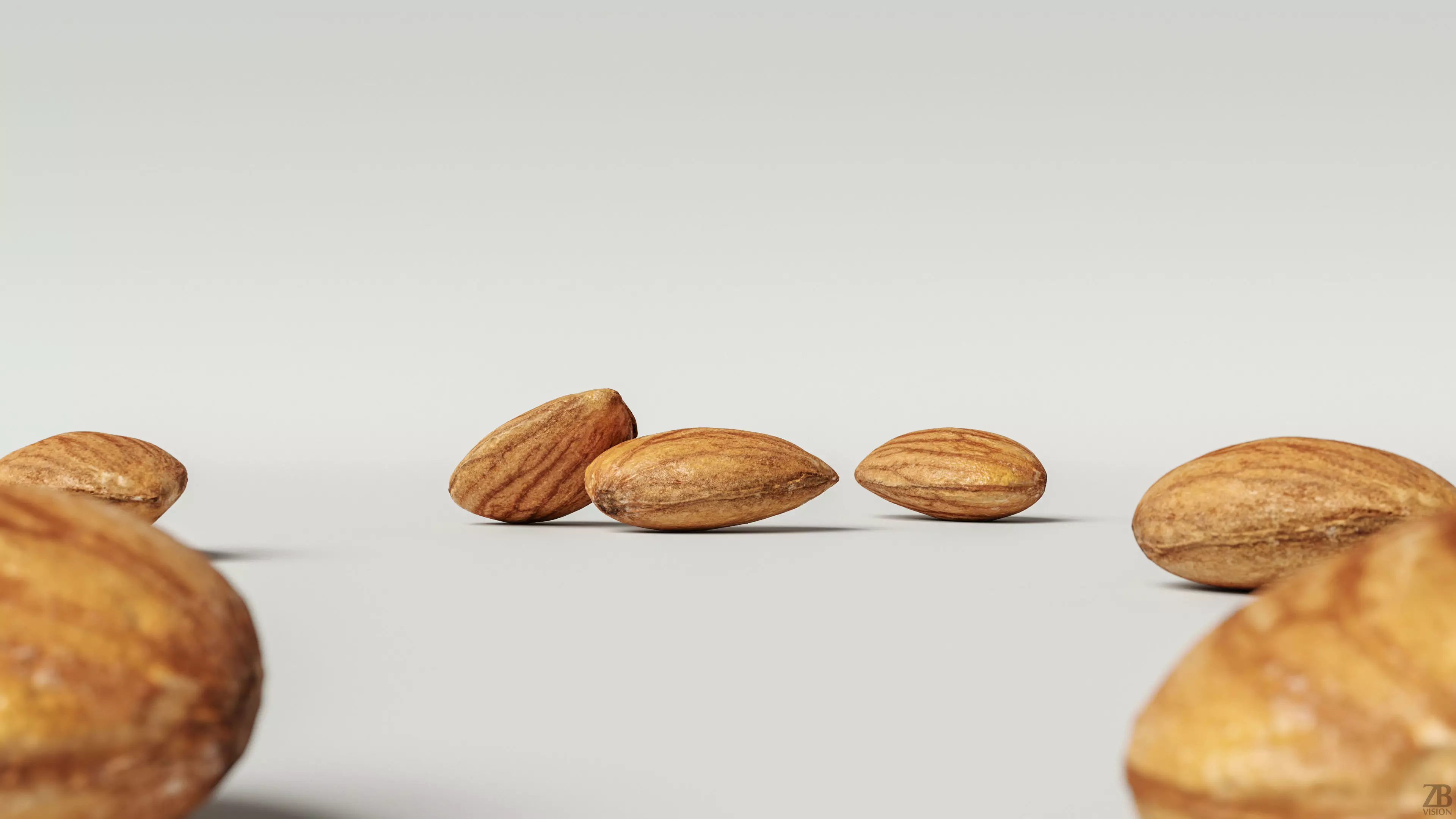 Almond 3D model_0