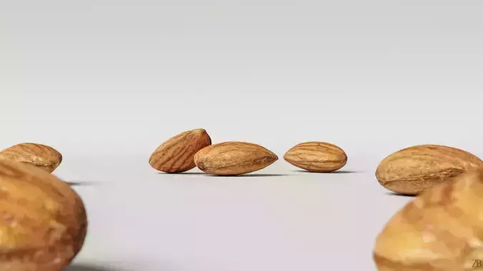 Almond 3D model