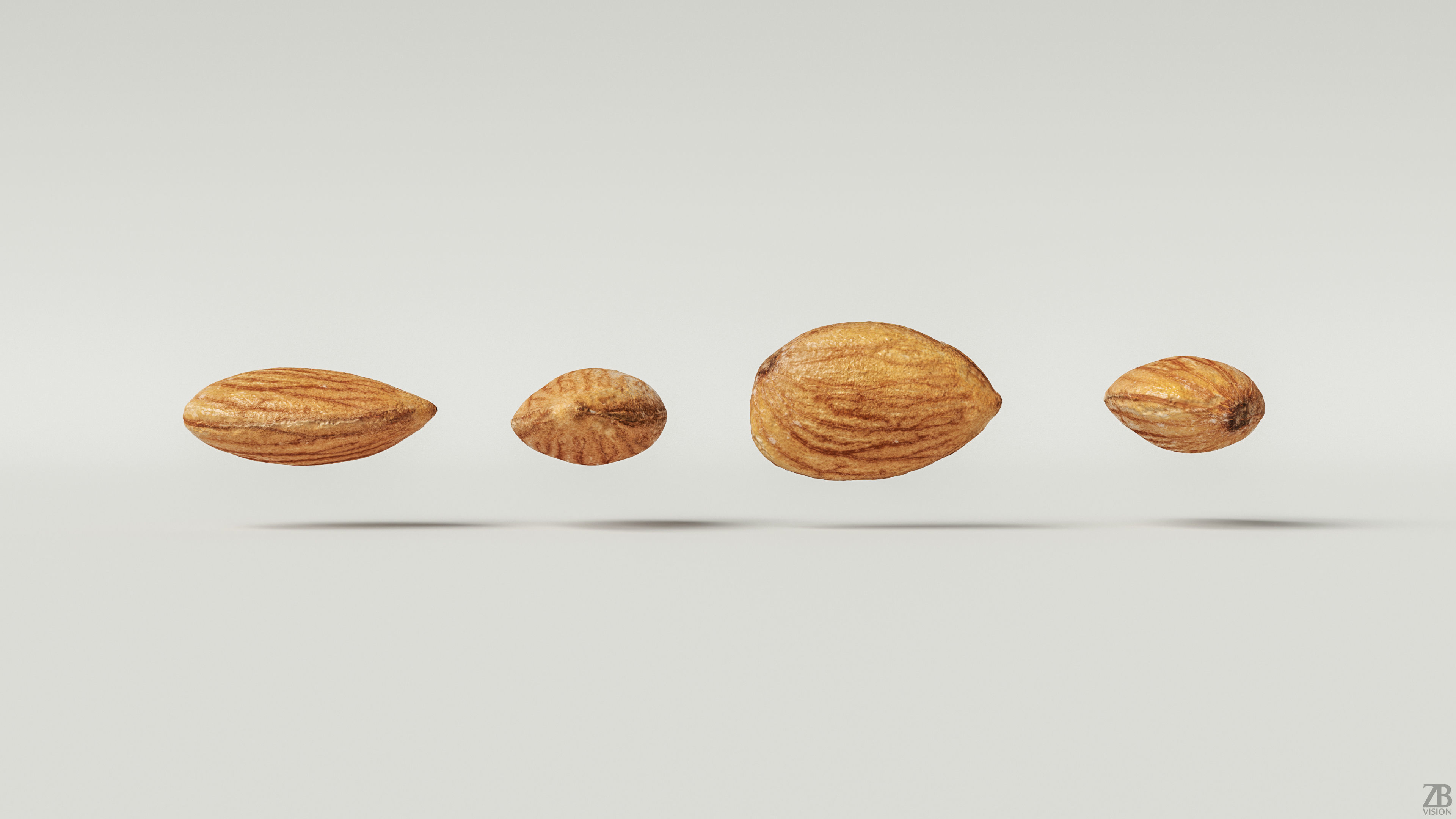 Almond 3D model_3
