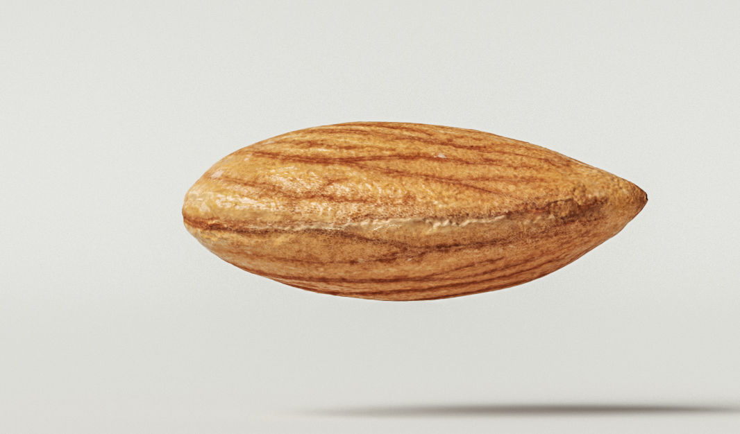 Almond 3D model_4