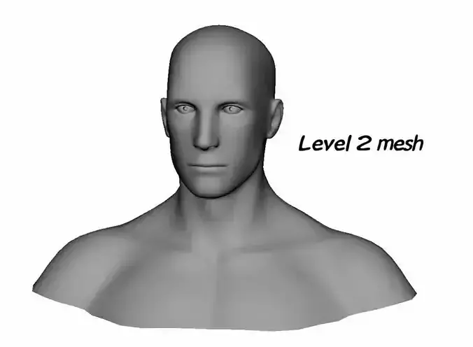 Male Face 3D Model 3D model