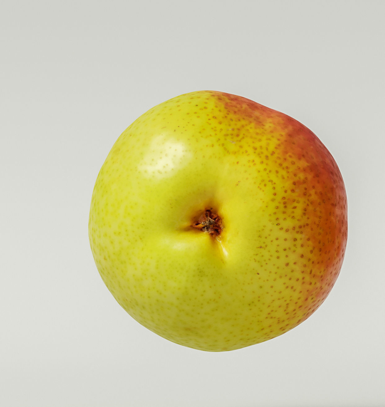 Pear  3D model_5