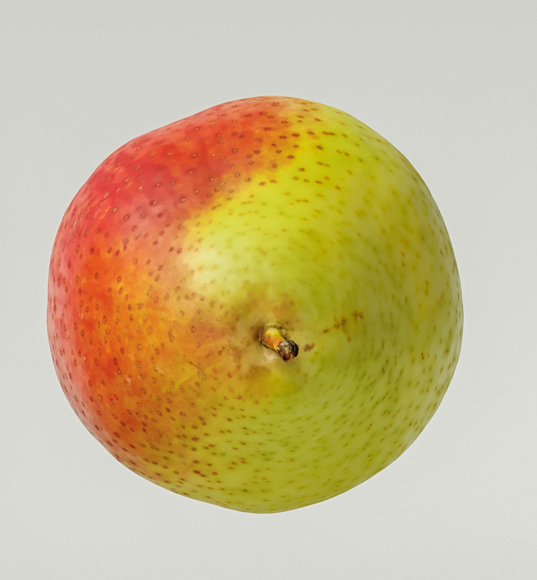 Pear  3D model_7
