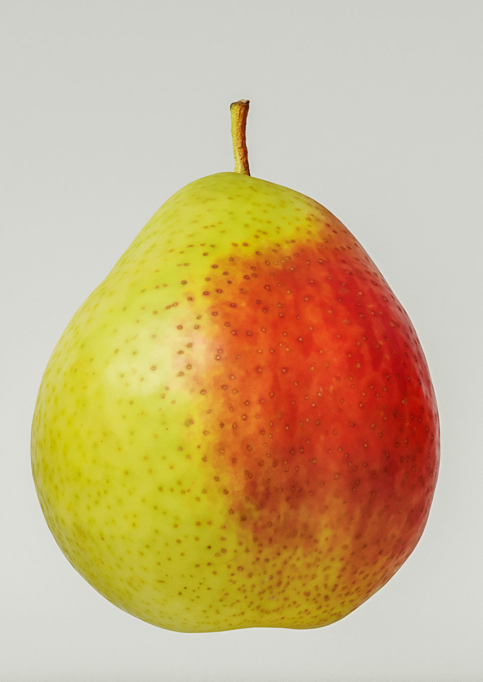Pear  3D model_6