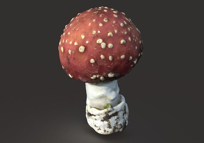 MUSHROOM AMANITA Low-poly 3D model