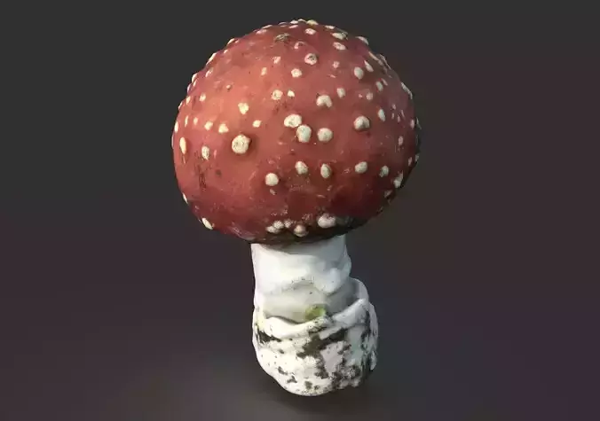 MUSHROOM AMANITA Low-poly 3D model