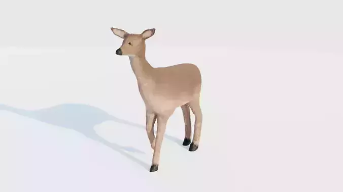 Realistic Deer with Fur