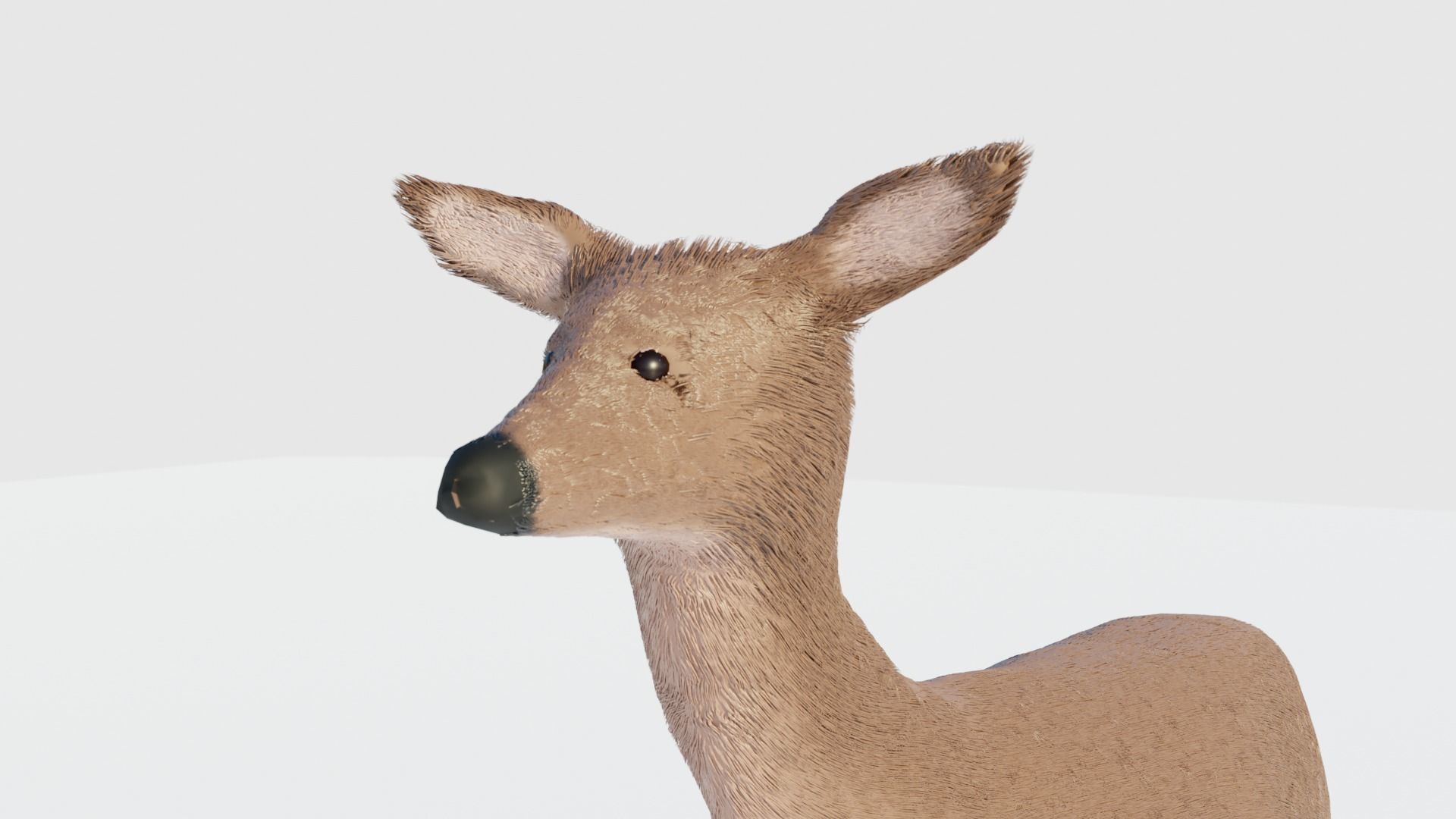 Realistic Deer with Fur Low-poly 3D model_7