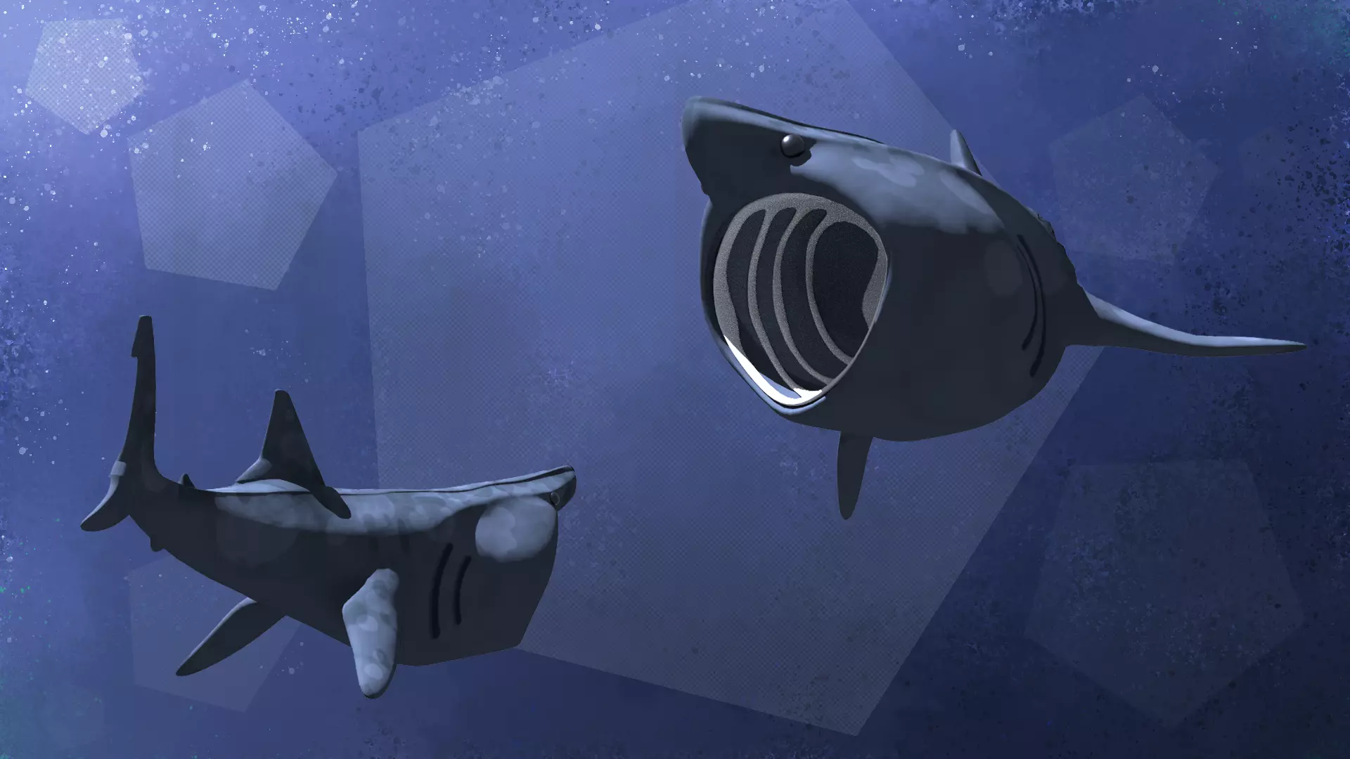Stylized Basking Shark Low-poly 3D model