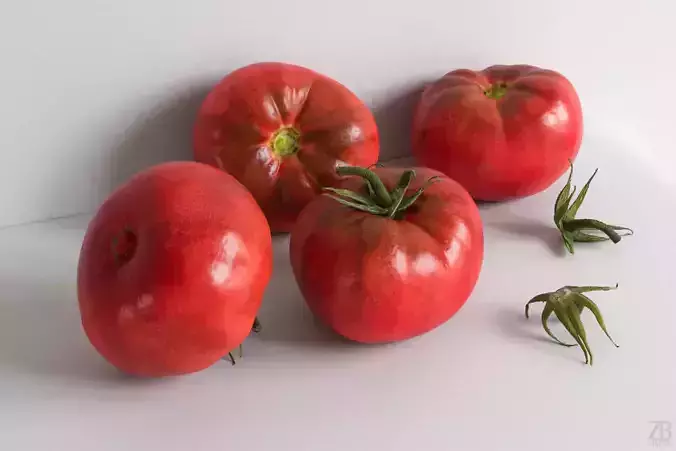 Tomato