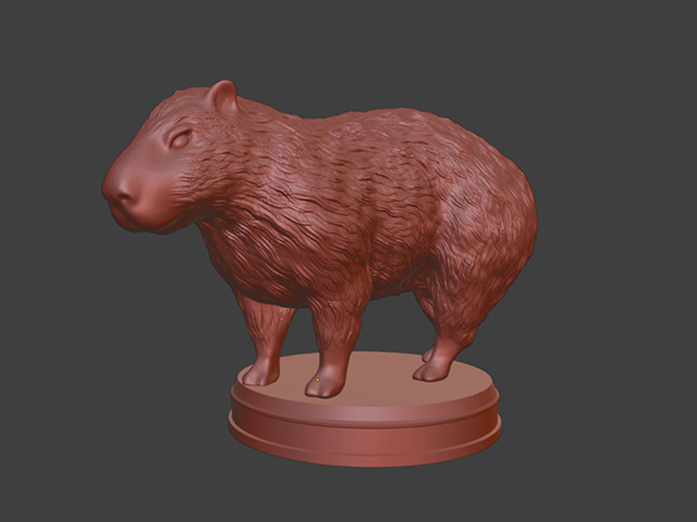 Realistic Fluffy Capybara 3D print model_7