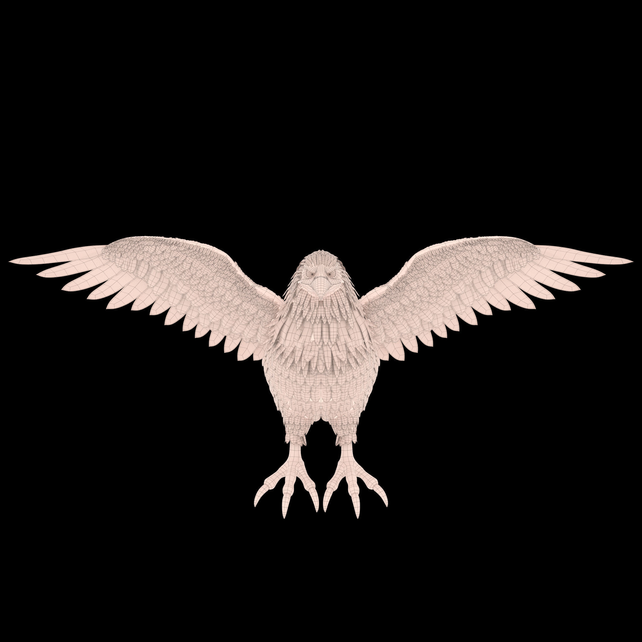 Eagle RIG 3D model_4