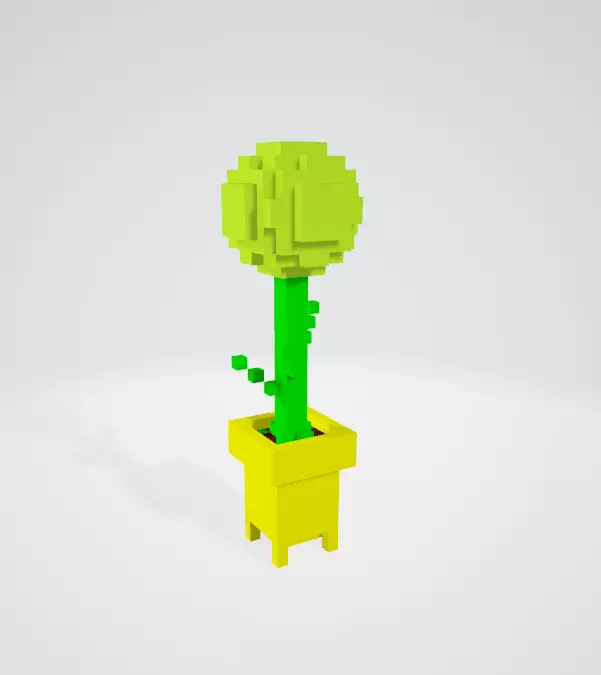 Colorful potted flowers Free 3D model