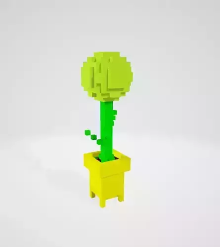 Colorful potted flowers