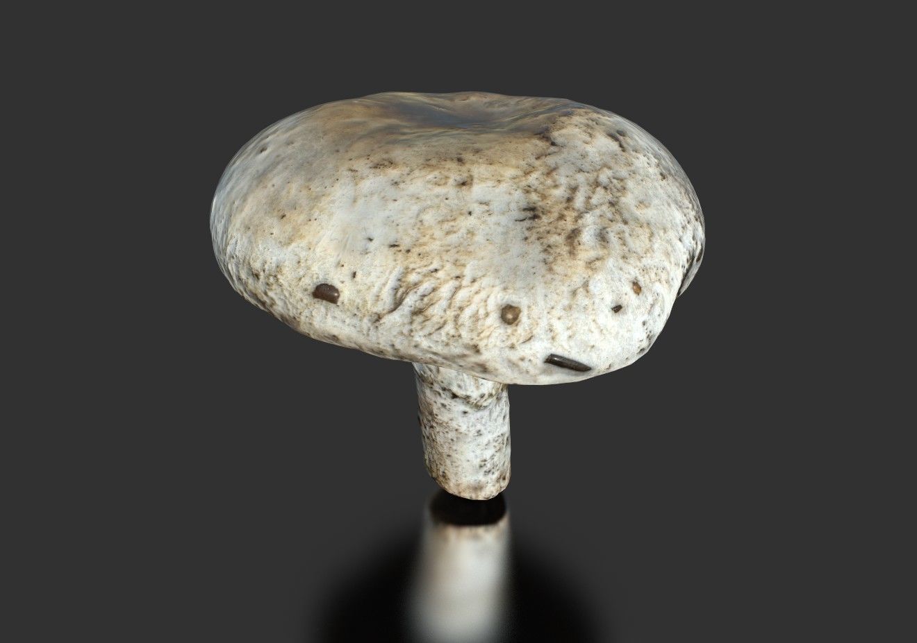 MUSHROOM 4 ball Low-poly 3D model_2