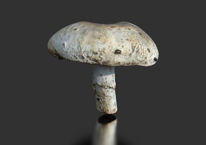 MUSHROOM 4 ball Low-poly 3D model