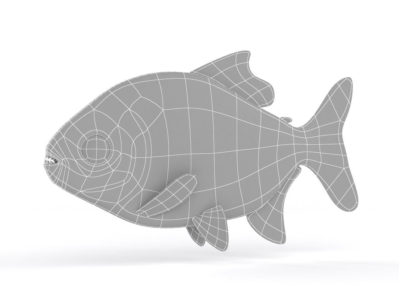 Piranha fish 3D model_8