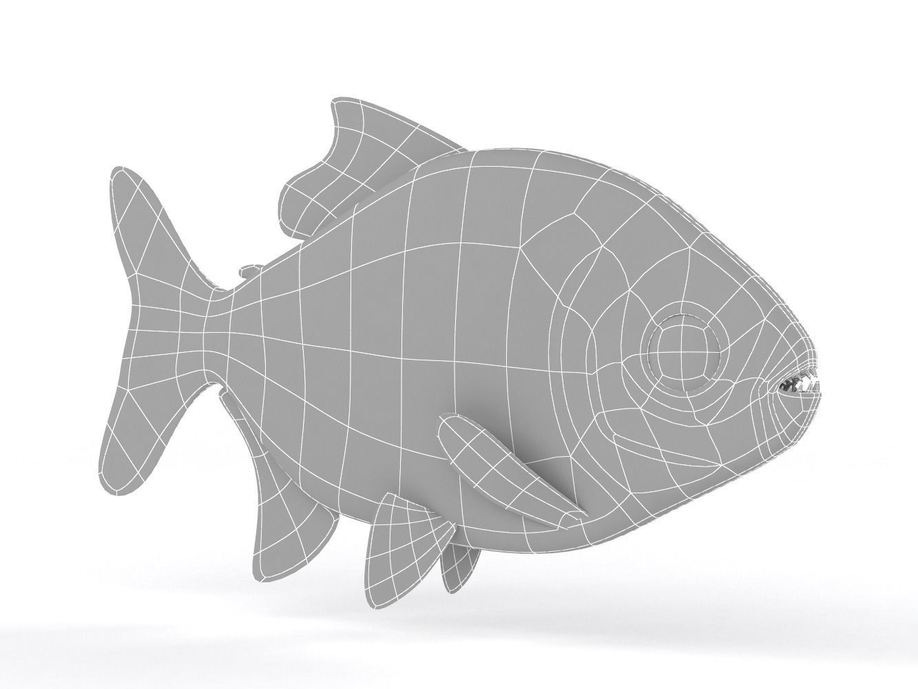 Piranha fish 3D model_6