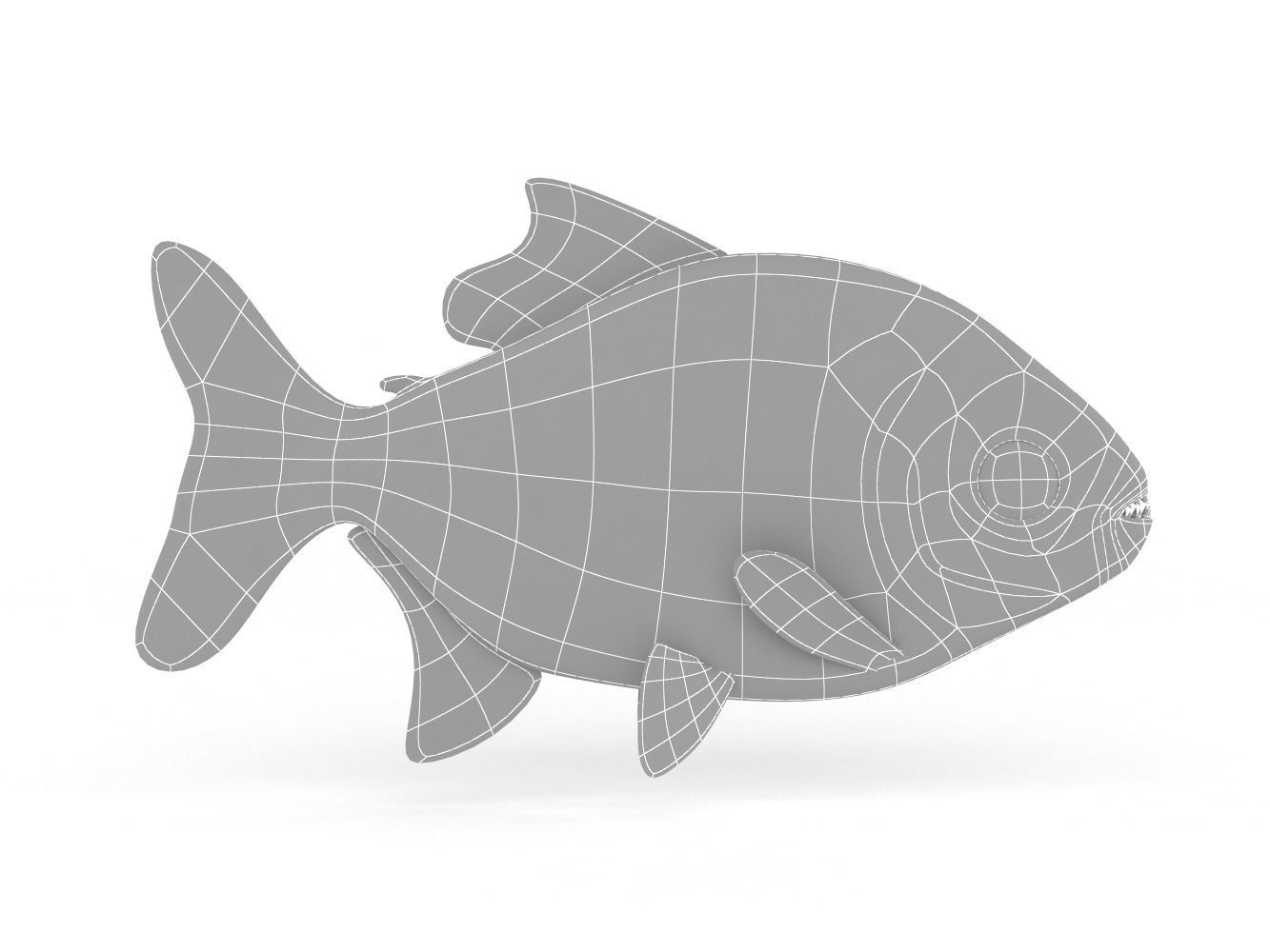 Piranha fish 3D model_5